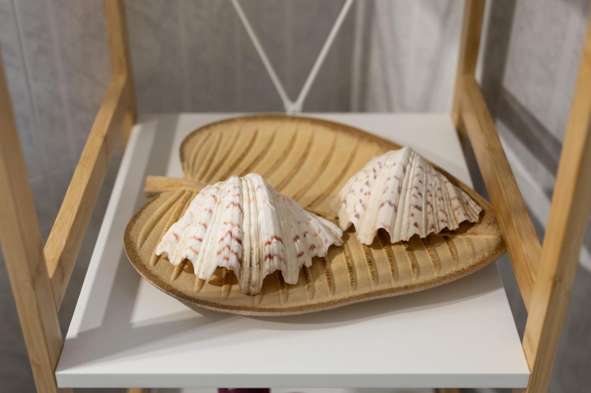 Aelia Luxury Maisonette